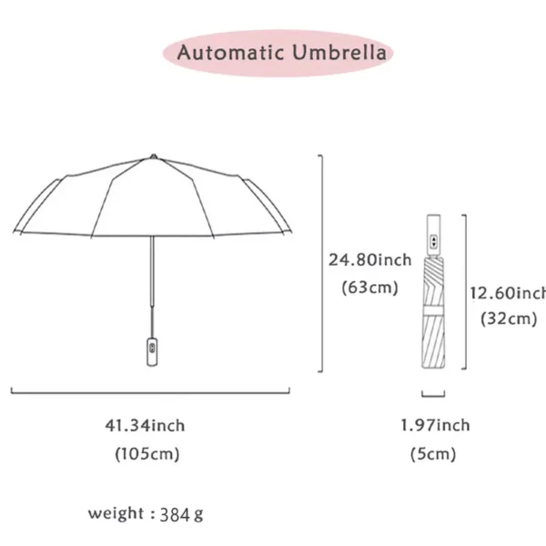Sky Blue - Automatic Open Folding Umbrella